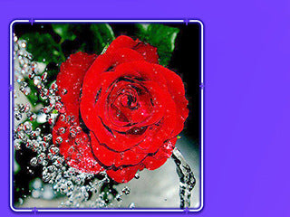 Diamond Painting Kits Red Rose