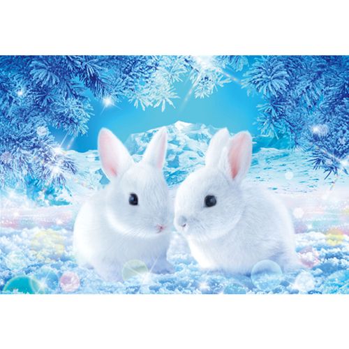 Diamond Painting White Rabbit