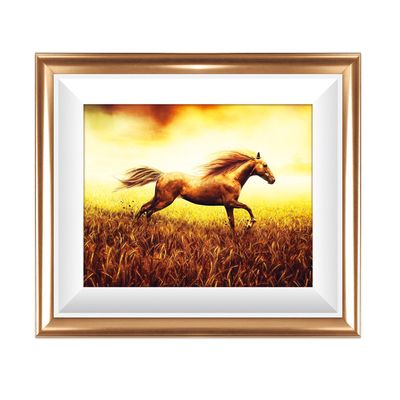 Diamond Painting Running Horse