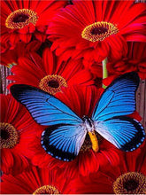 Load image into Gallery viewer, Butterfly Diamond Painting Kit
