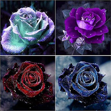 4 Pack 5D Rose Flower Diamond Art Kit for Beginners 11.8x11.8in