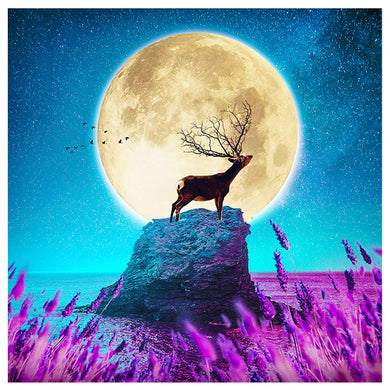 Deer Full Moon Scenery Animal ADP6075