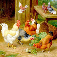 Load image into Gallery viewer, Fowl Chicken Diamond Painting
