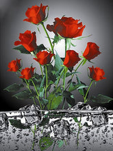 Load image into Gallery viewer, Rose 30x40cm Diamond Painting Kit Embroidery ADP5060
