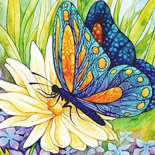 Load image into Gallery viewer, Diamond Painting For Beginner Butterfly
