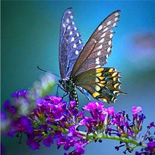 Load image into Gallery viewer, 5 Diamond Painting Butterfly
