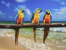 Load image into Gallery viewer, Diy Diamond Painting Kits Birds Parrot
