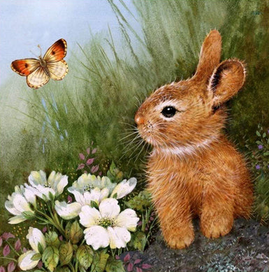 Diamond Painting DIY Rabbit Butterfly Flower Grass 30X30CM