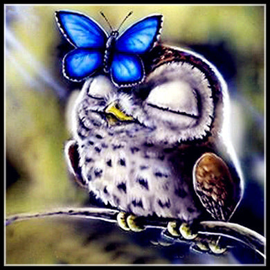Diamond Painting DIY Owl Blue Butterfly 30X30CM