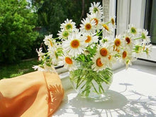 Load image into Gallery viewer, 5D Diy Diamond Painting Cross Stitch Daisy
