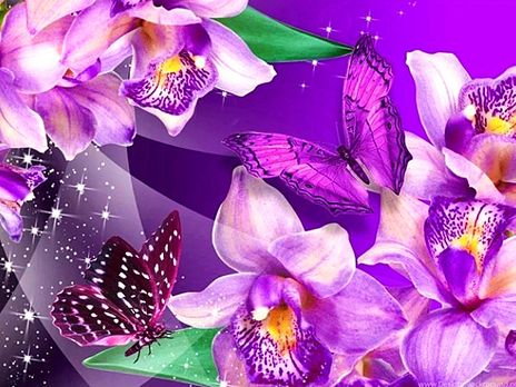 Diamond Painting Square Drill Flowers Orchid