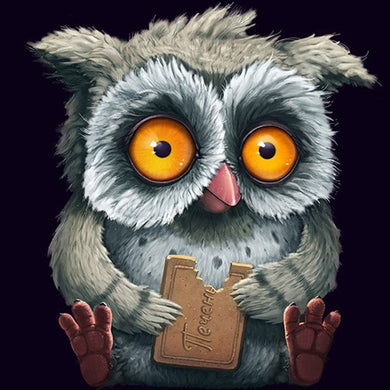 Diamond Painting Kit Owl Owl