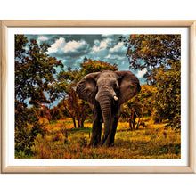 Load image into Gallery viewer, Elephant 40X30cm
