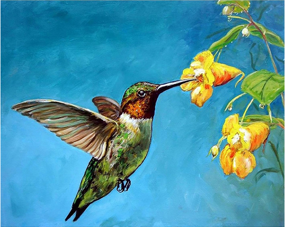 Diy Diamond Painting Hummingbird