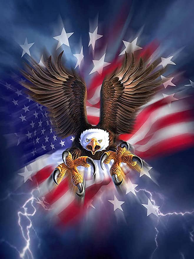 Eagle American Flag Diamond Painting ADP7337