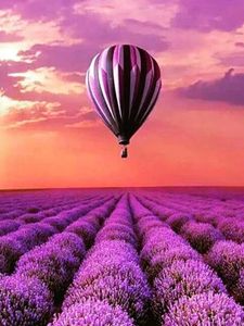 Lavender Hot Air Balloon
