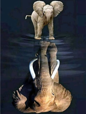 5D Diamond Painting Elephant Reflection