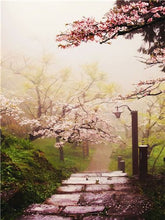 Load image into Gallery viewer, Cherry Blossom Trail
