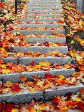 Load image into Gallery viewer, Maple Leaves Fall All Over The Stairs
