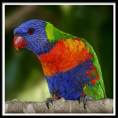 Parrot ADP5480