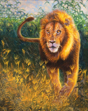 Lion Diamond Painting Kits