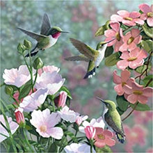 Load image into Gallery viewer, Diamond Art Hummingbird
