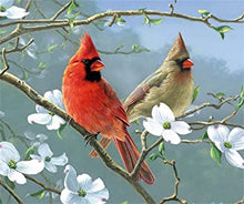 Load image into Gallery viewer, 5D Diamond Painting Birds
