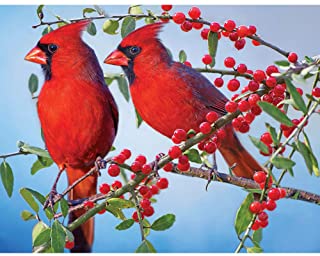 Diamond Painting Cardinals Birds