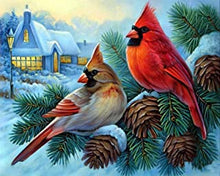 Load image into Gallery viewer, 5D Diamond Painting Cardinal Birds
