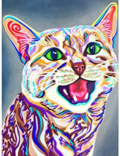 Load image into Gallery viewer, Diamond Painting Colorful Cat
