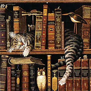 Diamond Painting Cat With Books