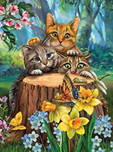 Load image into Gallery viewer, Diamond Painting Kits Jungle Cats
