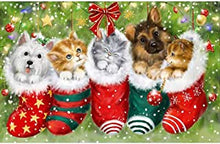 Load image into Gallery viewer, Diamond Painting Cat Christmas
