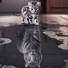 Load image into Gallery viewer, Diamond Painting Cat Reflection Tiger
