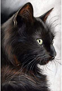 Diamond Painting Cat Black