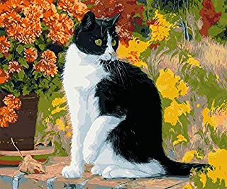Diamond Painting Tuxedo Cat
