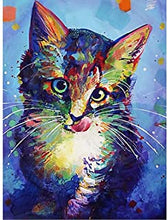 Load image into Gallery viewer, Colorful Cat Diamond Painting
