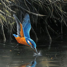 Load image into Gallery viewer, Diamond Painting Australian Birds
