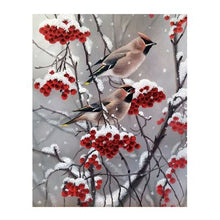 Load image into Gallery viewer, Winter Bird Diamond Painting
