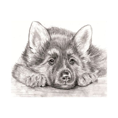 Diamond Painting Terrier Dogs