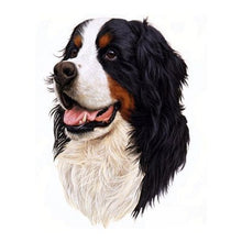 Load image into Gallery viewer, Border Collie Diamond Painting
