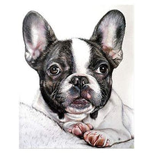 Load image into Gallery viewer, Diamond Painting Bull Terrier
