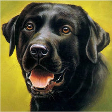 Load image into Gallery viewer, Newfoundland Dog Diamond Painting Diamond Embroidery
