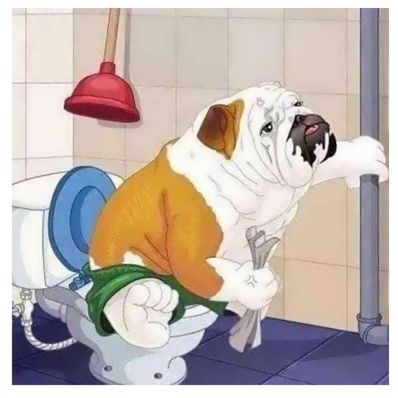 Dog On Toilet Diamond Painting