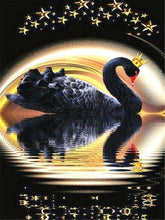 Load image into Gallery viewer, Diy Diamond Painting Black Swan
