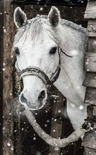 Load image into Gallery viewer, Diy Diamond Painting Stable White Horse
