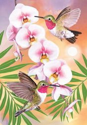 Diy Diamond Painting Hummingbird Orchid