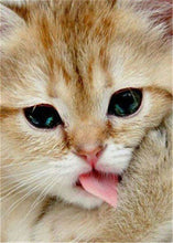 Load image into Gallery viewer, Cute Cat
