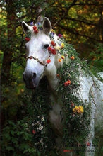 Load image into Gallery viewer, White Horse In The Grass
