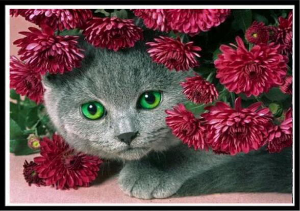 Cat Flowers Diamond Painting